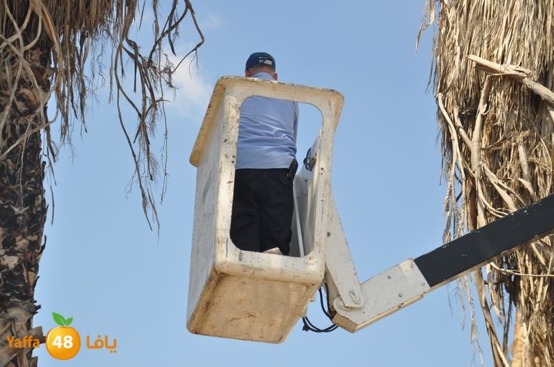 cat lud 910 (36).JPG